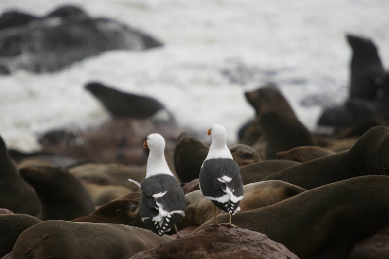 c_2015_09_02 12_35_17_895